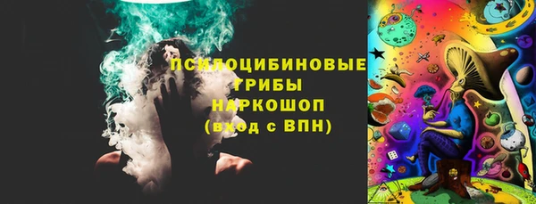 прущие грибы Аркадак