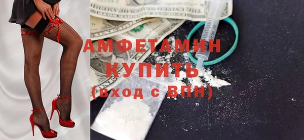 прущие грибы Аркадак