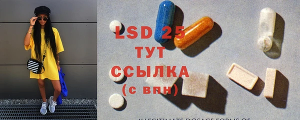 прущие грибы Аркадак