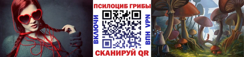 Псилоцибиновые грибы Psilocybe MEGA зеркало Устюжна